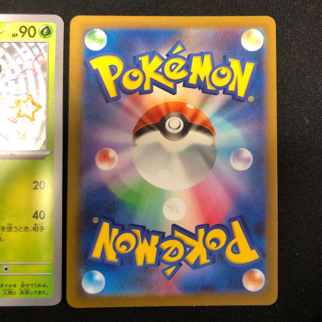 ミニーブ 203/190 オリーニョ 204/190 オリーヴァ 205/190