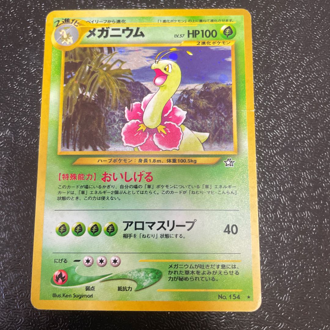 scratch Meganium Kira Old back ★