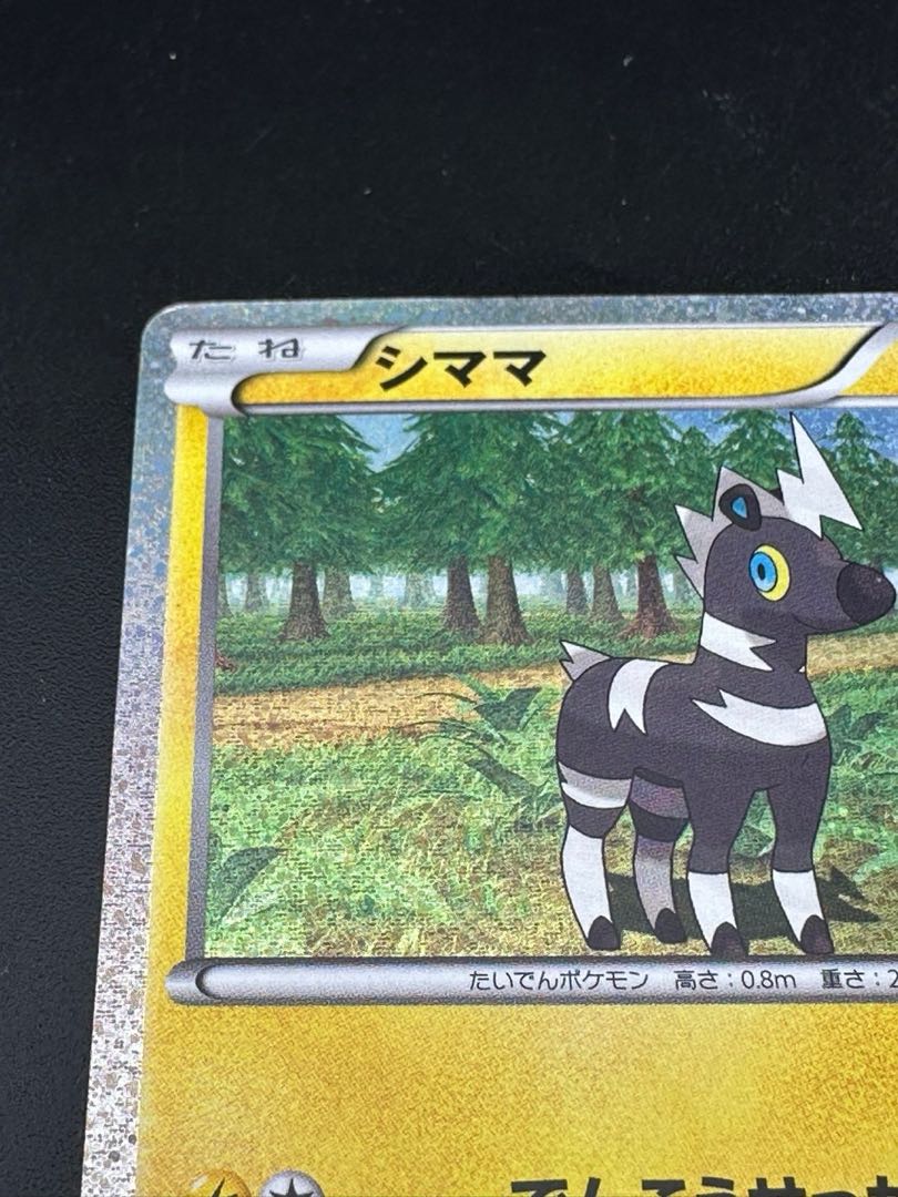 【中古品】ポケモンカード  シママ　D 雷　005/009 CS