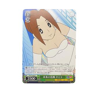 5173【クレヨンしんちゃん】未来の花嫁タミコ〈C〉