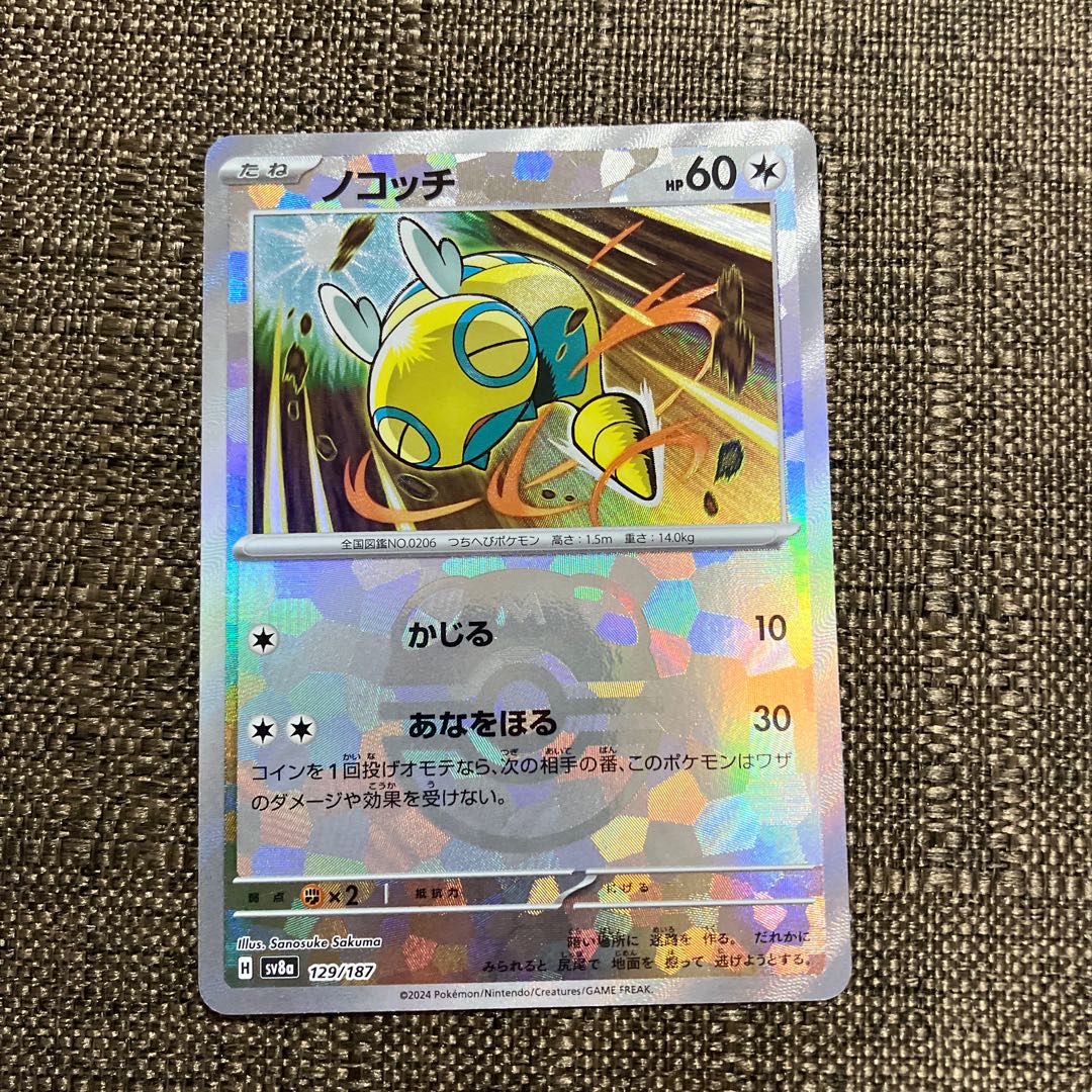 マスボ柄 ノコッチ 129/187