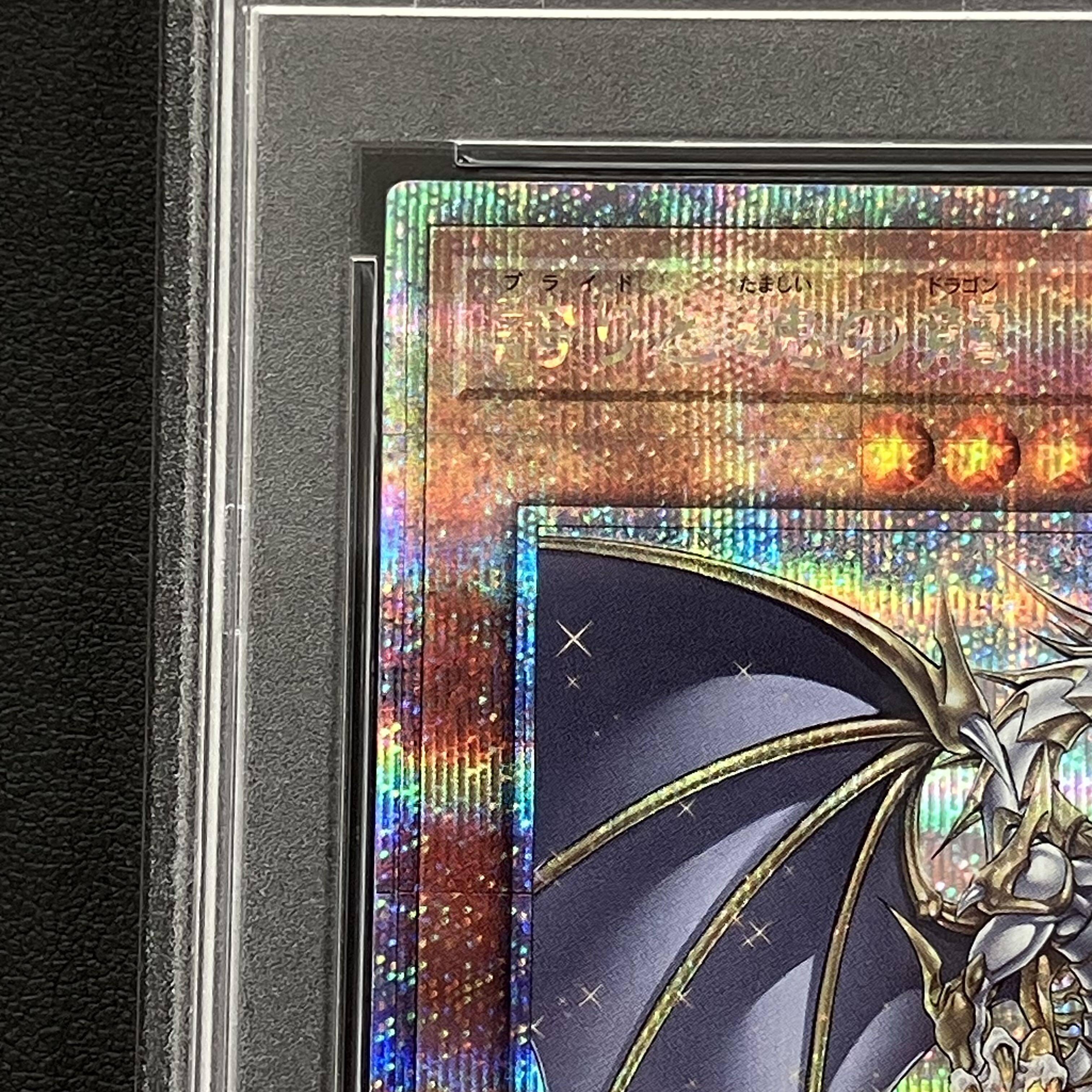 PSA9】誇りと魂の龍 QCSE・25thシク INFO-JP000の通販 土日祝休 PSA9】誇りと魂の龍 QCSE・25thシク INFO-JP000の通販 土日祝休