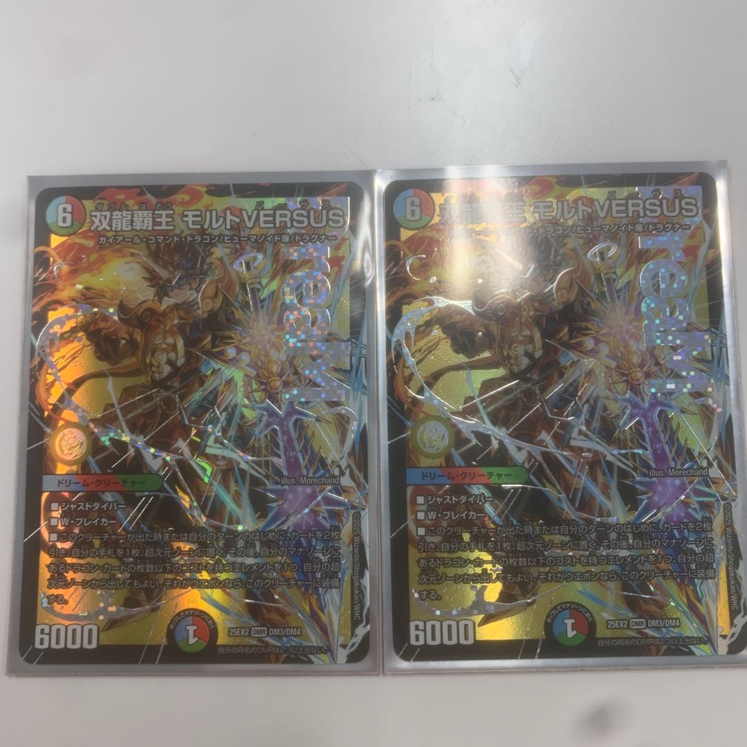 Ssangyong Haohaou Molt VERSUS DMR DM3/DM4 2枚