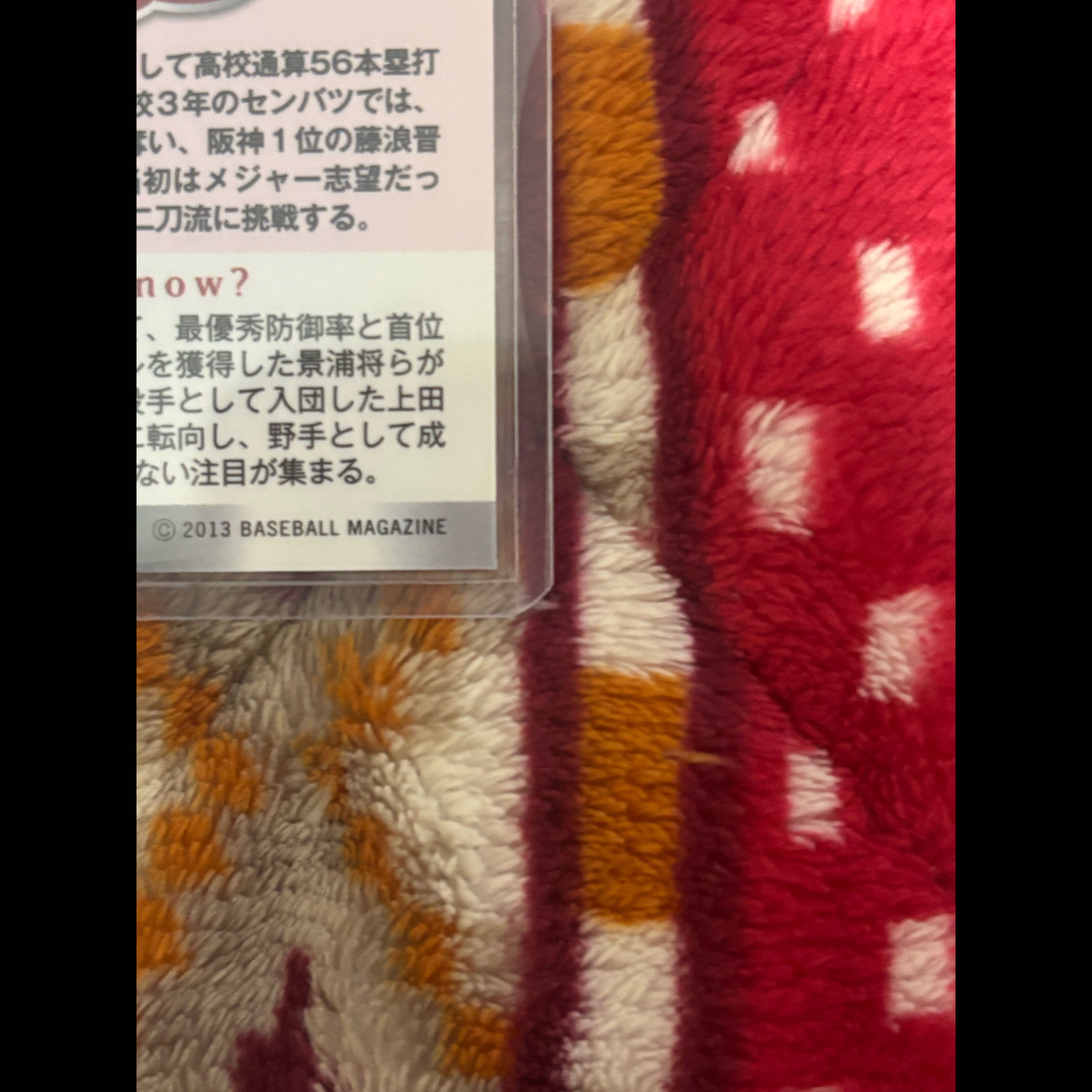 大谷翔平BBM2013ルーキーカード 1枚