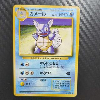 Wartortle old back 1枚