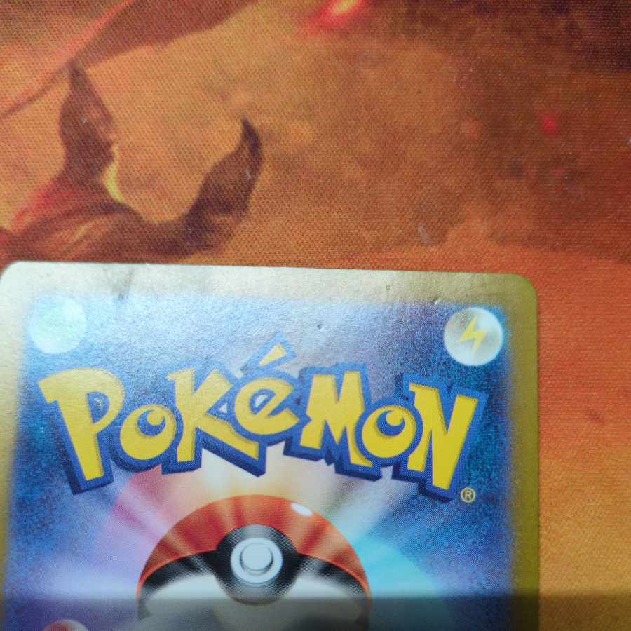 キチキギスex RR