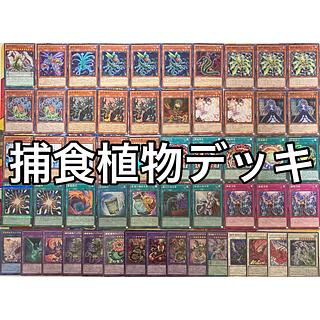 No.1442 Prey Upon plant deck Predator plant deck Yu-Gi-Oh Predaplant deck 1枚