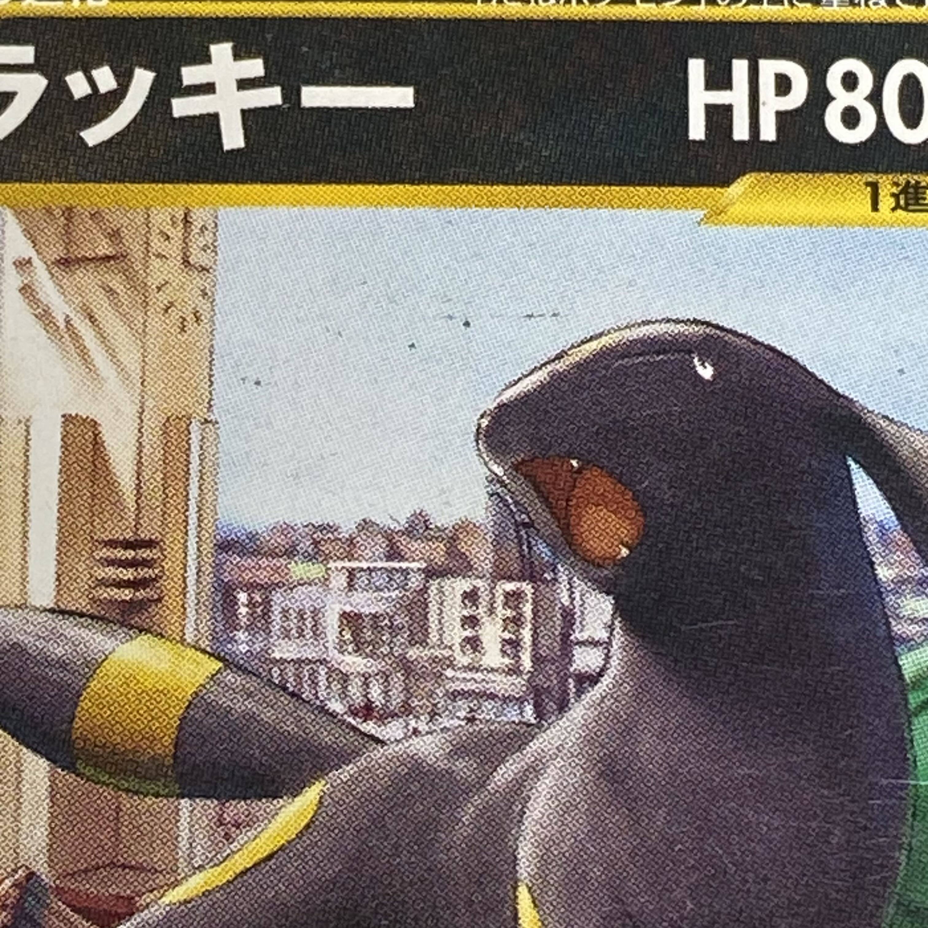 Umbreon McDonald's Edition "The Town Not on the Map" Card e PROMO 025/P 1枚
