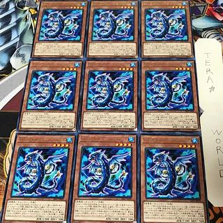 T.G. Screw Serpent SAST 1 rare, set of 9 Tera.