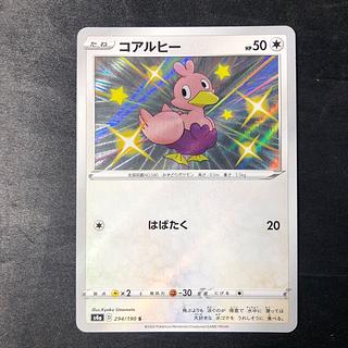 コアルヒー S 294/190 1枚