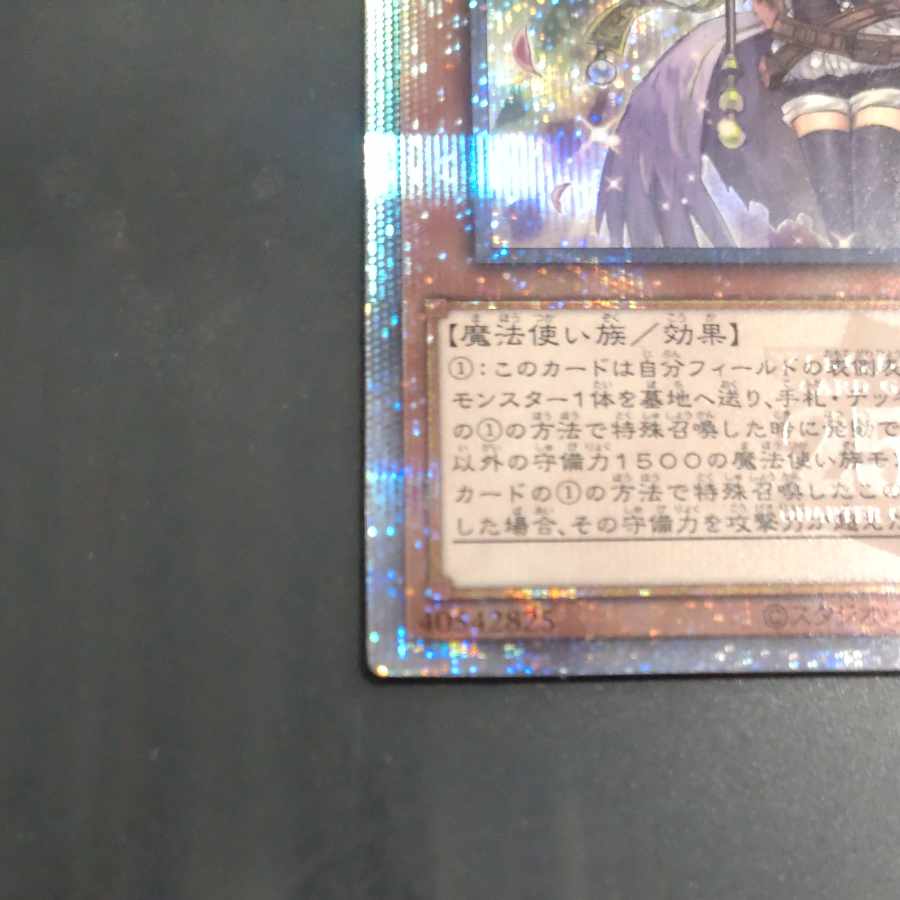 Possession-mounted liner (different illustration) QSE [Korindo].