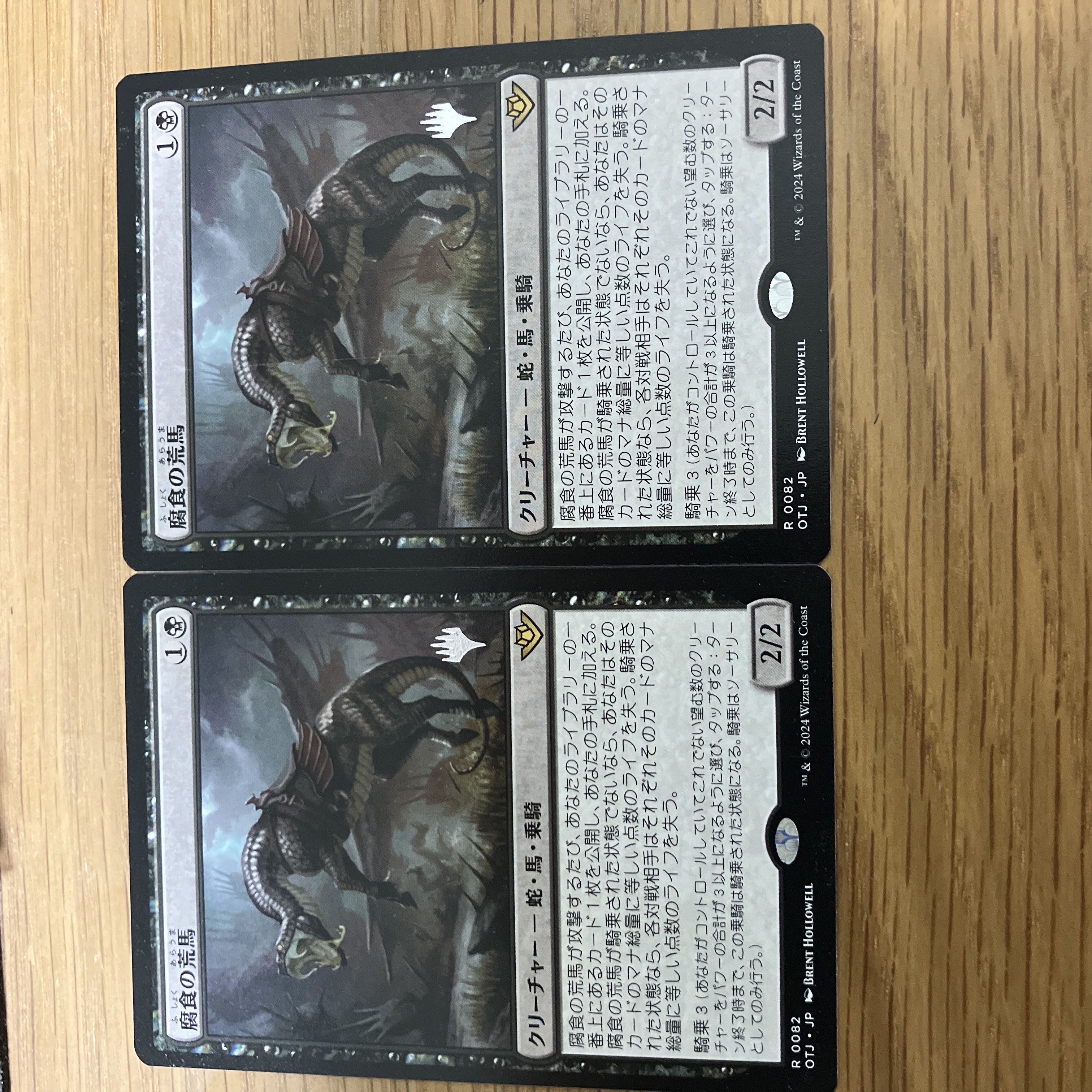 Corroded Rough Horse 2 pieces 2枚