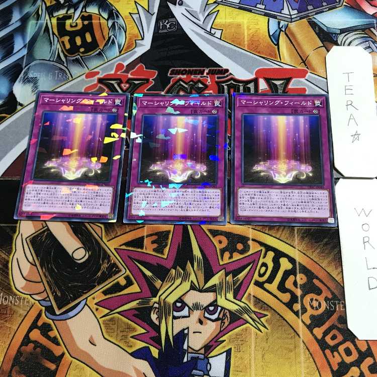 Marshalling Field DBIC 1 Normal Parallel Set of 3 Tera