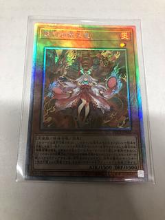 倶利伽羅天童プリズマシクの相場推移は?価格高騰はついに6万円 倶利伽羅天童プリズマシクの相場推移は?価格高騰はついに6万円