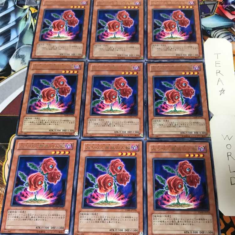 Revival Rose TSHD 1 rare, set of 9, Tera.