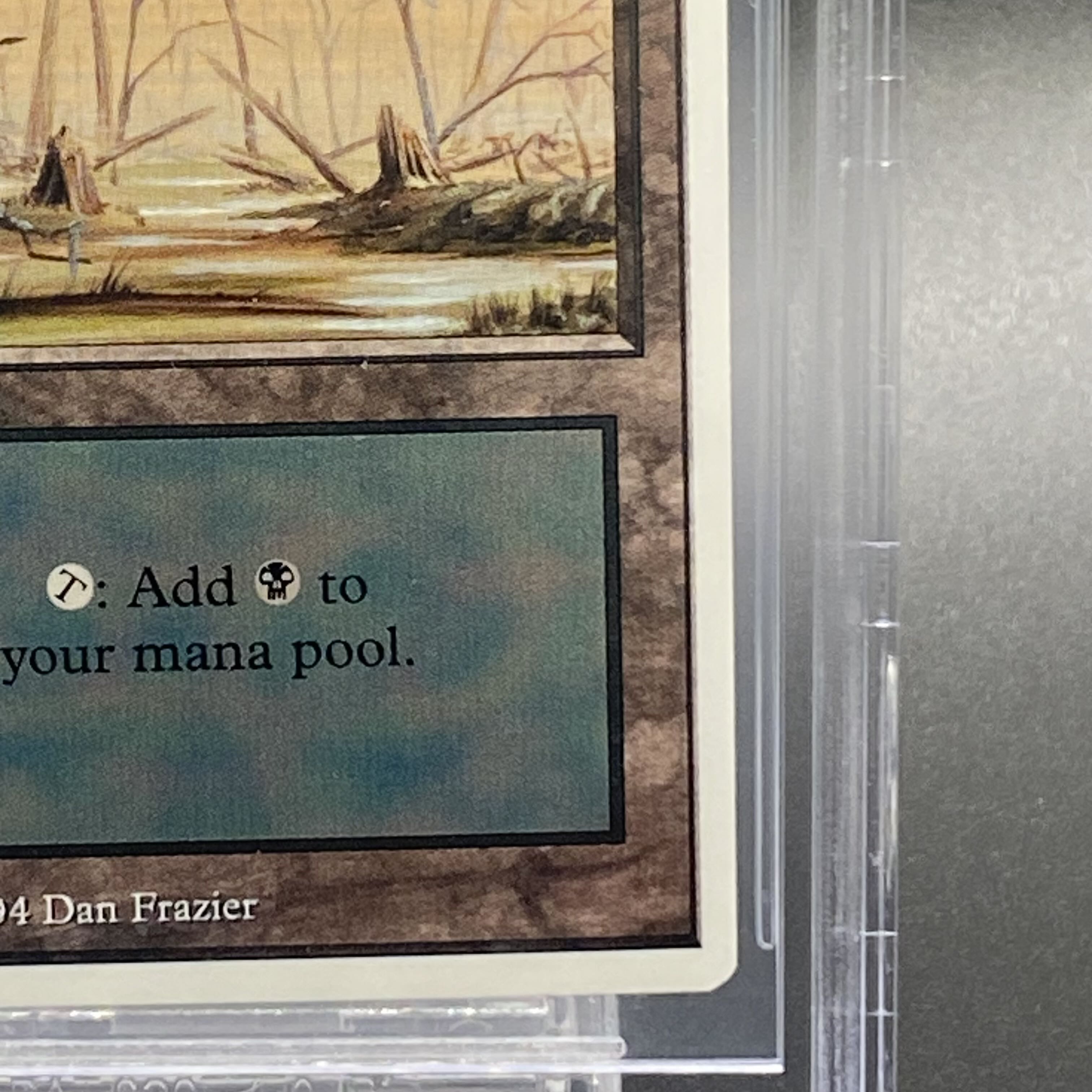 早割クーポン！ BGS9】沼 / Swamp 基本土地 サマーマジックの通販 土日祝休 magi シングルカード