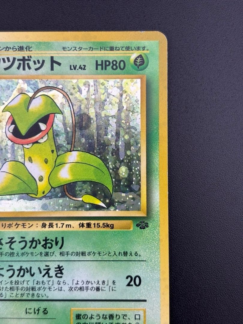Used item] Victreebel 2nd expansion pack Pokémon Jungle LV.42 HP80 No.071 ★ Old back Pokémon cards