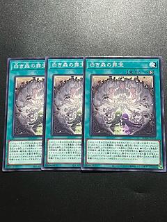 Yu-Gi-Oh Studio 3 copies Crime Treasure of the White Forest Normal SUDA-JP055