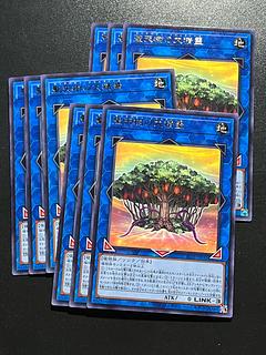 Yu-Gi-Oh Studio 9 cards Sunavalon Dryanome Rare JP033