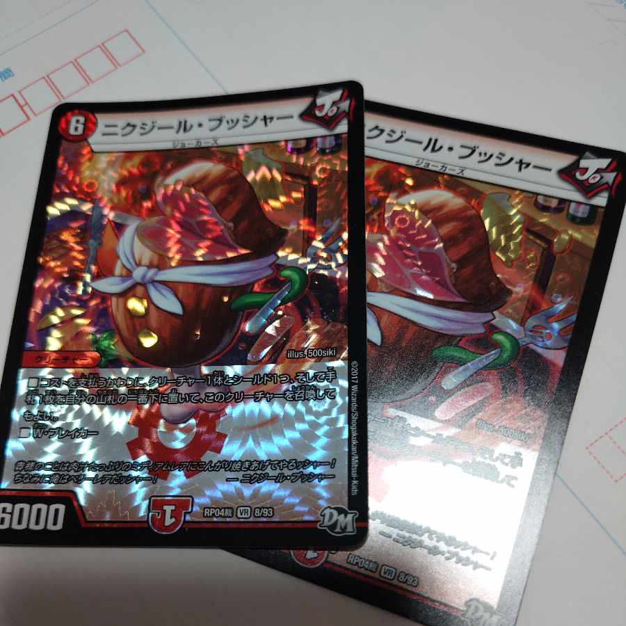 Nikziel Bucher VR 8/93 2枚