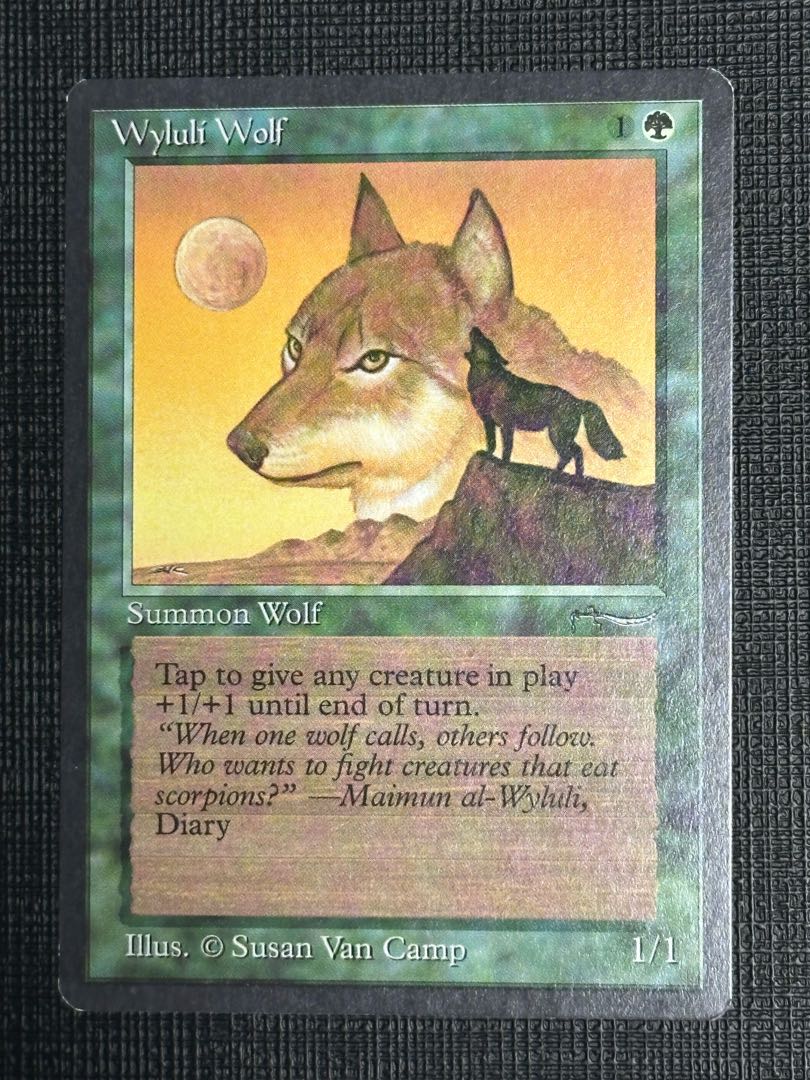 美品 Wyluli Wolf Common 55/92