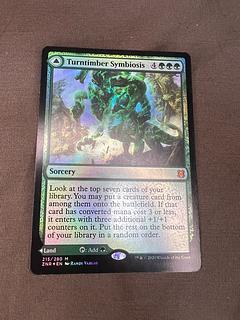 FOIL 変わり樹の共生 / Turntimber Symbiosis /うねる森、変わり樹 / Turntimber, Serpentine Wood ZNR