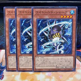 ライトハンド・シャーク ノーマル AC04-JP033