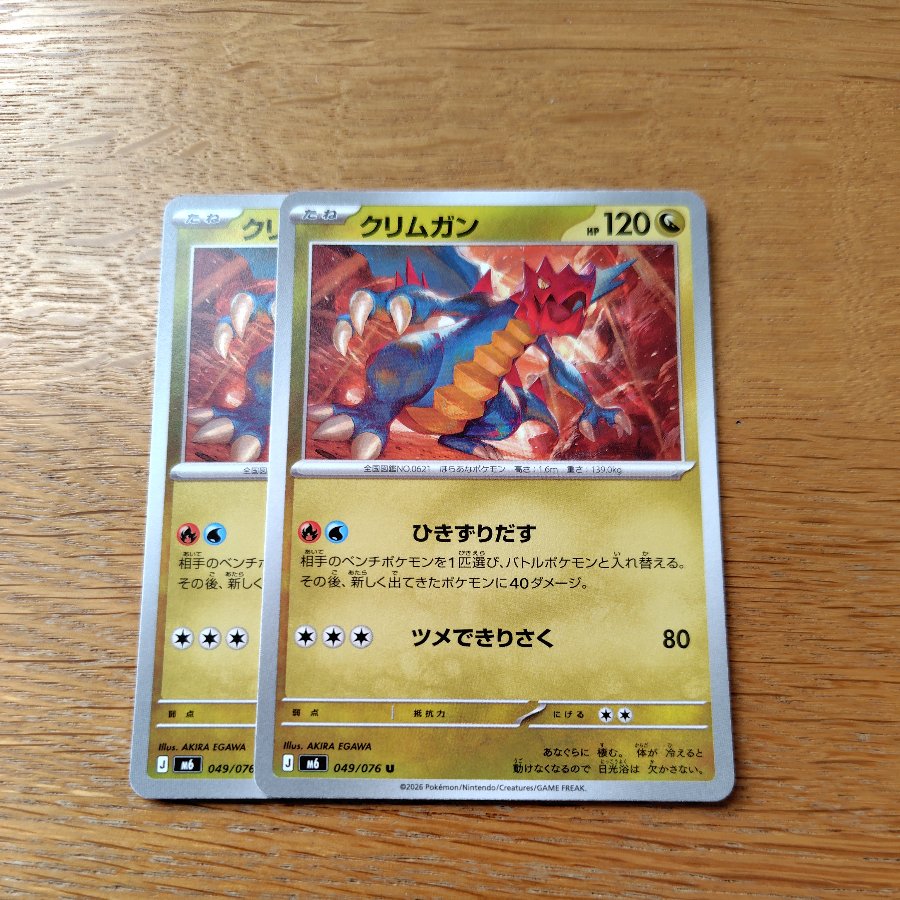 Druddigon U 049/076 2枚