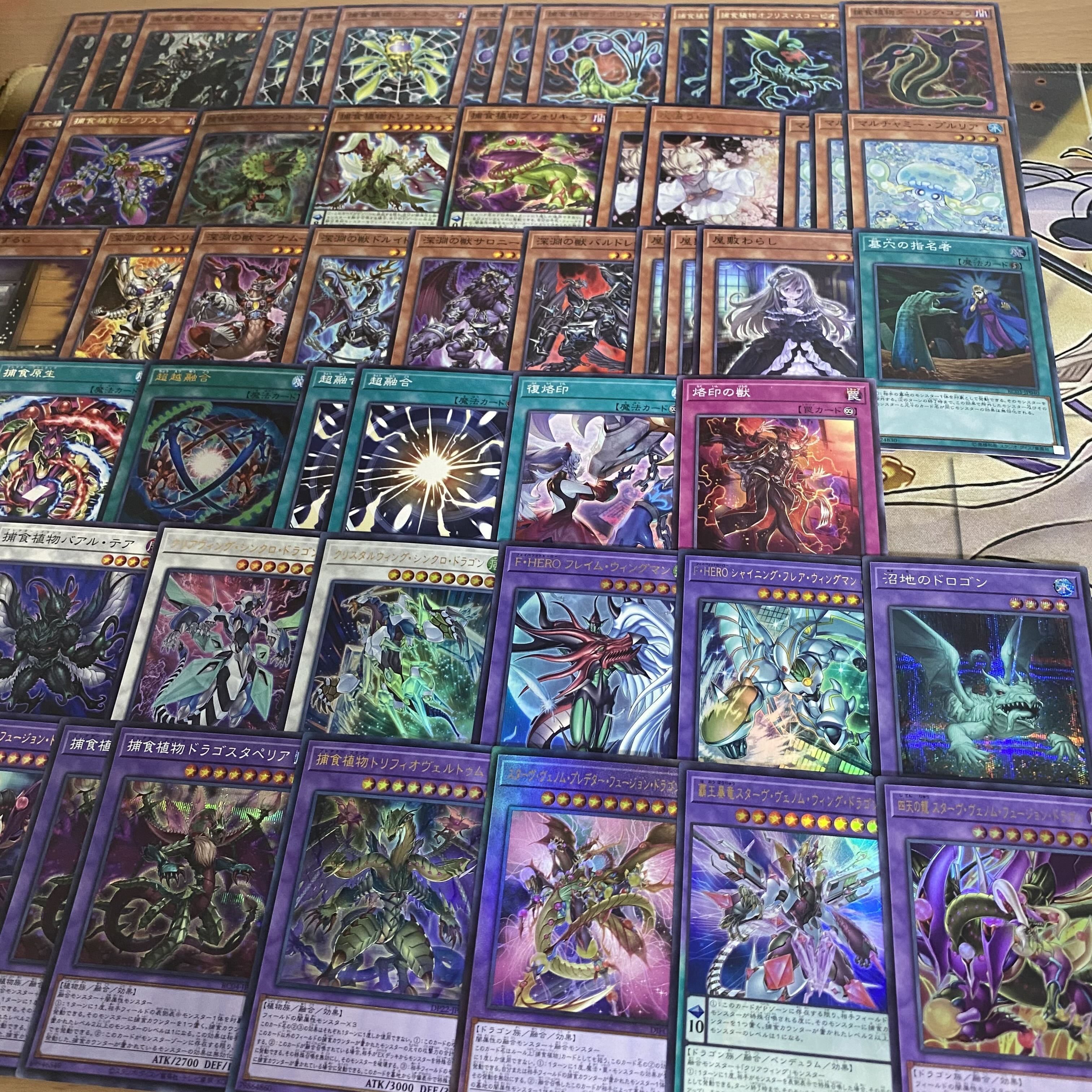 本格構築 捕食植物 デッキ 遊戯王 四天の龍スターヴヴェノムフュージョンドラゴン 超融合 オフリススコーピオ 血樹竜姫ドラセレア 1枚