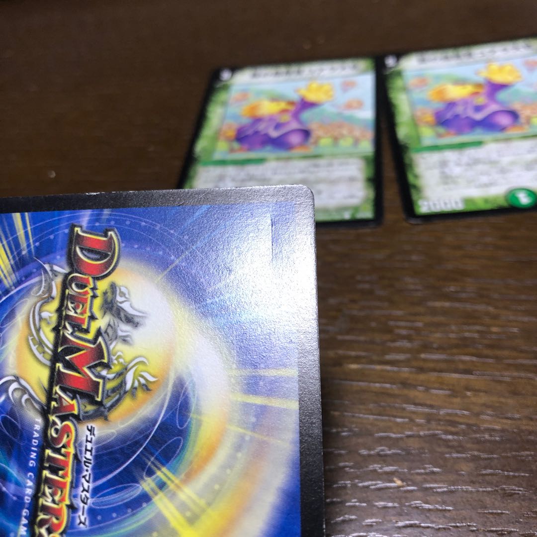 森の指揮官コアラ大佐(通常) C 53/55/Y6 4枚