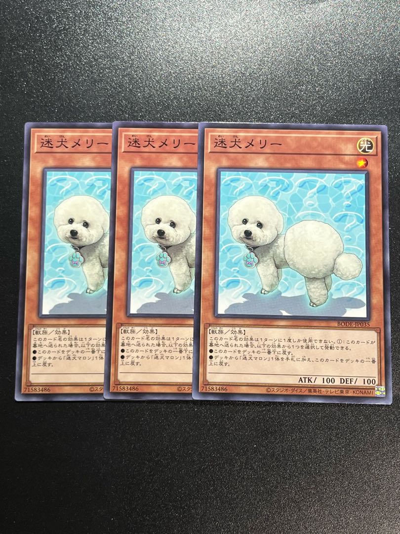 Yu-Gi-Oh Studio 3 copies Outstanding Dog Mary Normal rare JP035