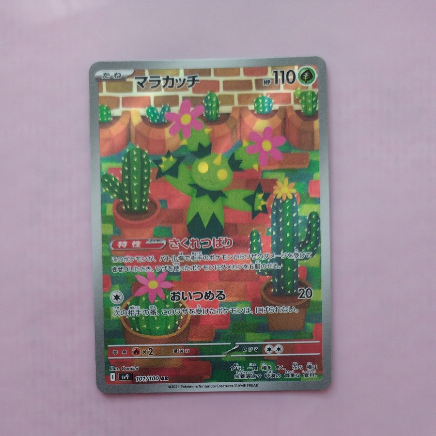 @ @ Maractus AR 101/100 1枚