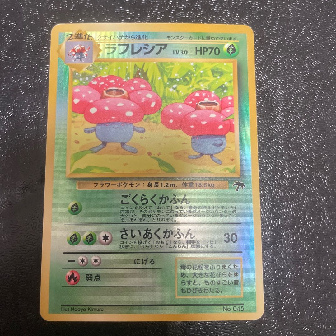 ラフレシア　旧裏　サザンアイランド