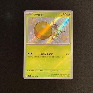 g409 シガロコ sv4a 209/190 S キラ 色違い ポケモン トレトレ