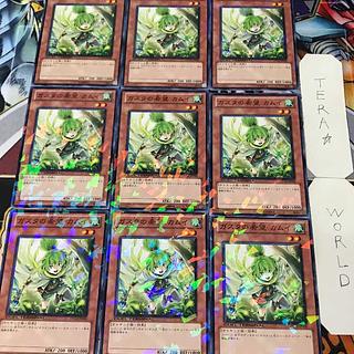 Kamui, Hope of Gusto DT12 1 Duel Terminal, Effect, Set of 9, Tera. 9枚