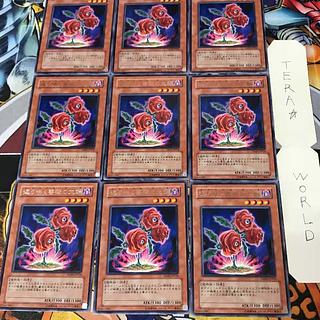 返り咲く薔薇の大輪 2 レア 9枚セット てら