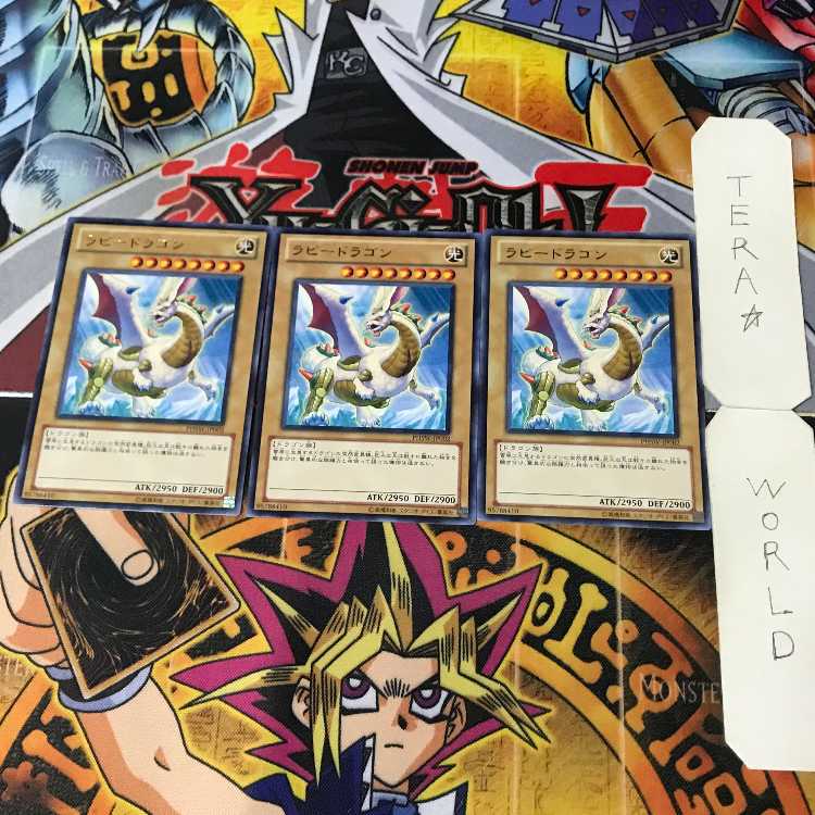 Lancephorhynchus EP15 1 rare, usually set of 3 terra