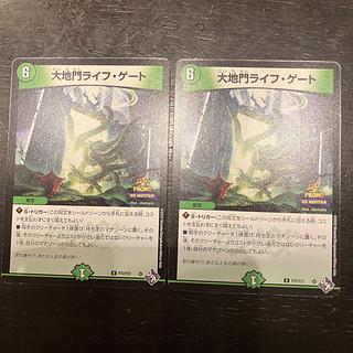 Large Gate Life Gate