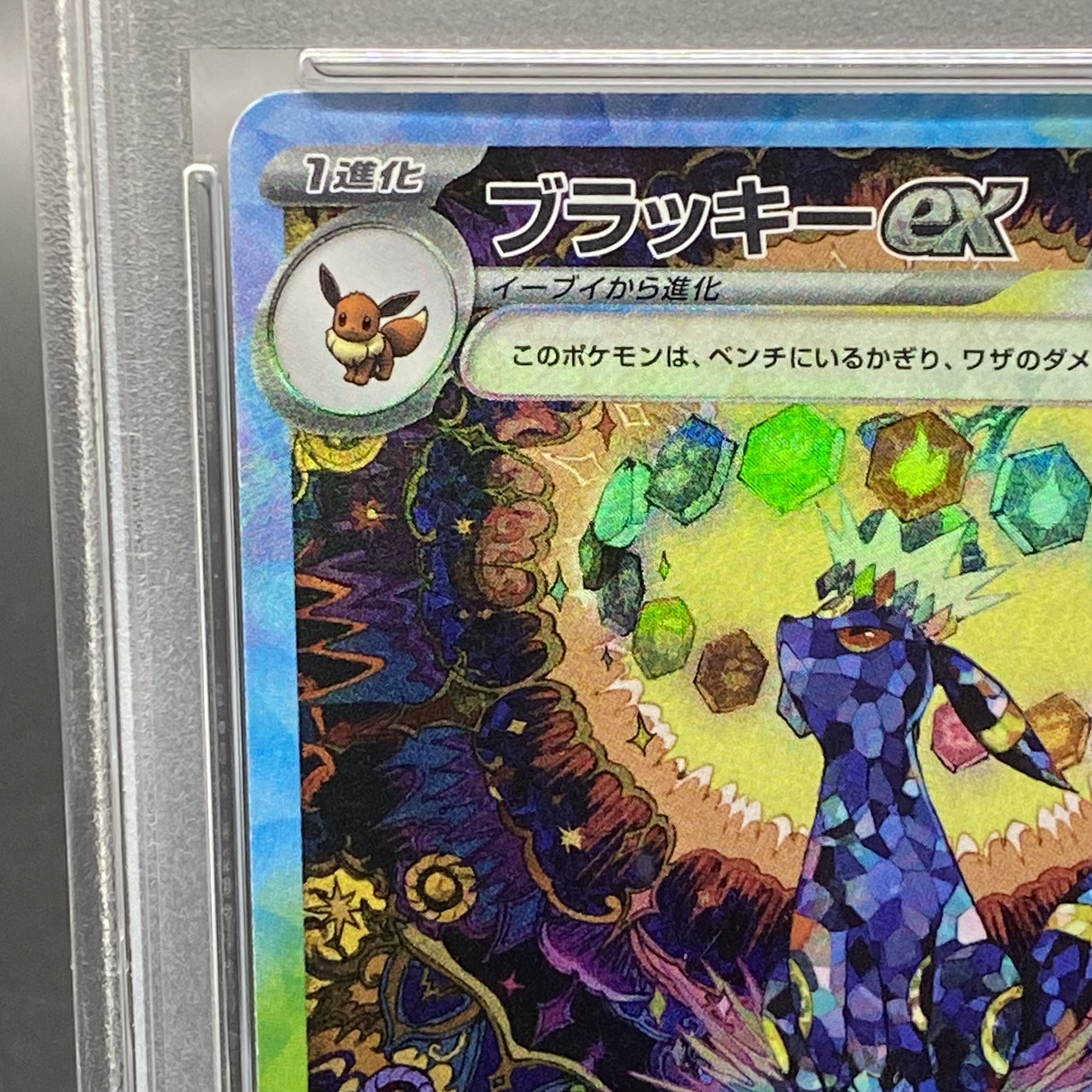 PSA10】ブラッキーex SAR 217/187の通販 土日祝休@magi公式 PSA10】ブラッキーex SAR 217/187の通販 土日祝休@magi公式