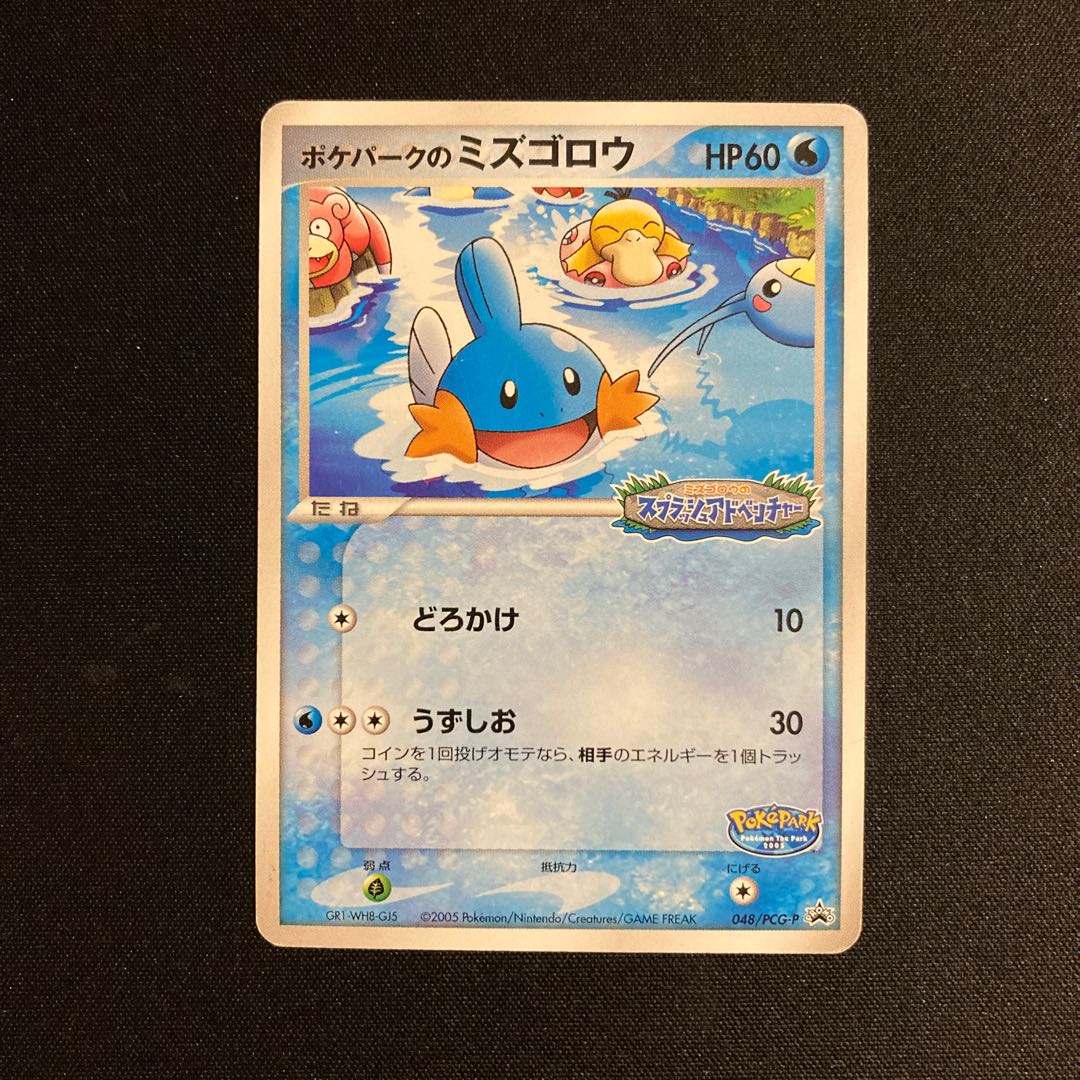 e321 ポケパークのミズゴロウ スプラッシュアドベンチャー e321 ポケパークのミズゴロウ スプラッシュアドベンチャー