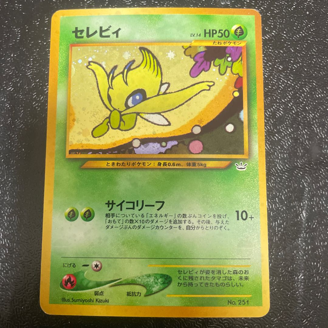 Celebi Premium File Old Back