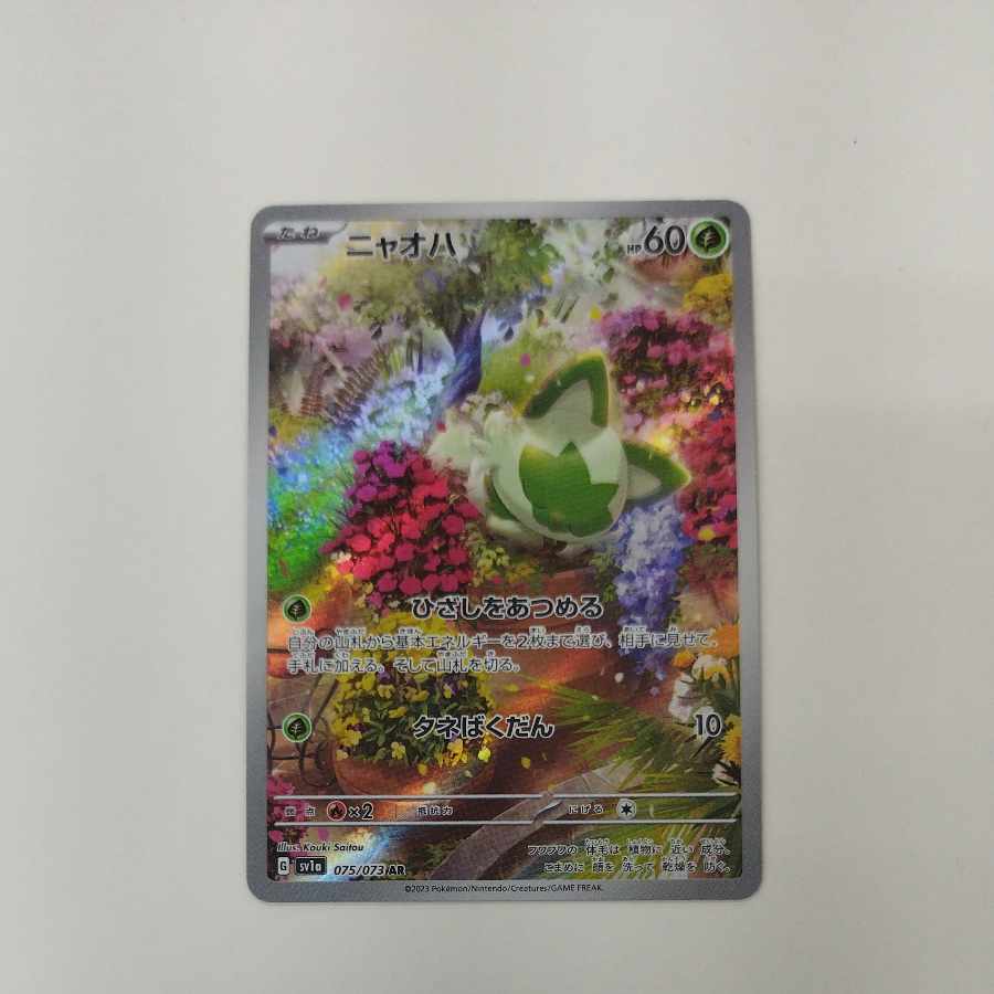 @ @ Nyoha AR 075/073