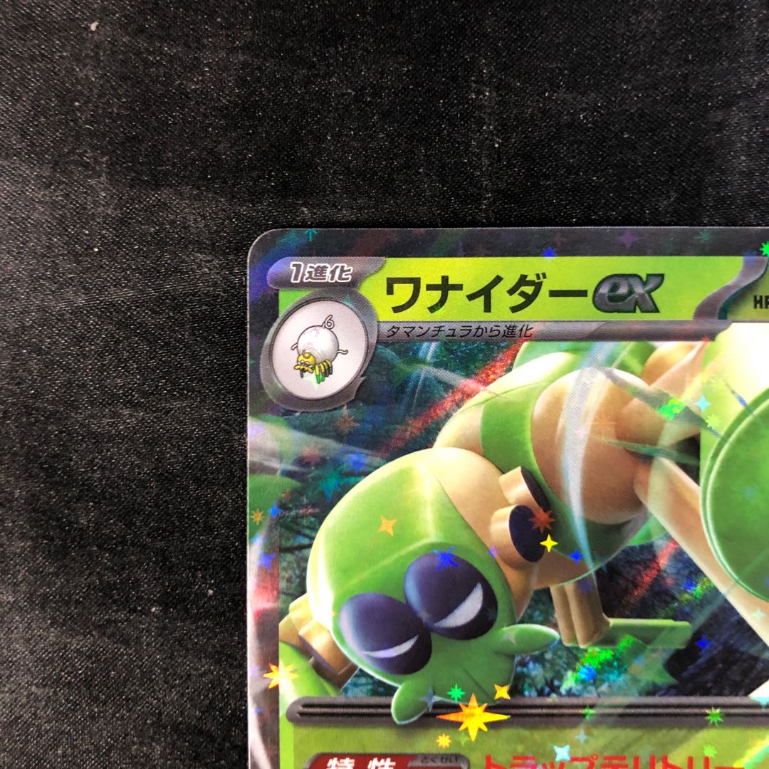 ワナイダーex RR 008/078