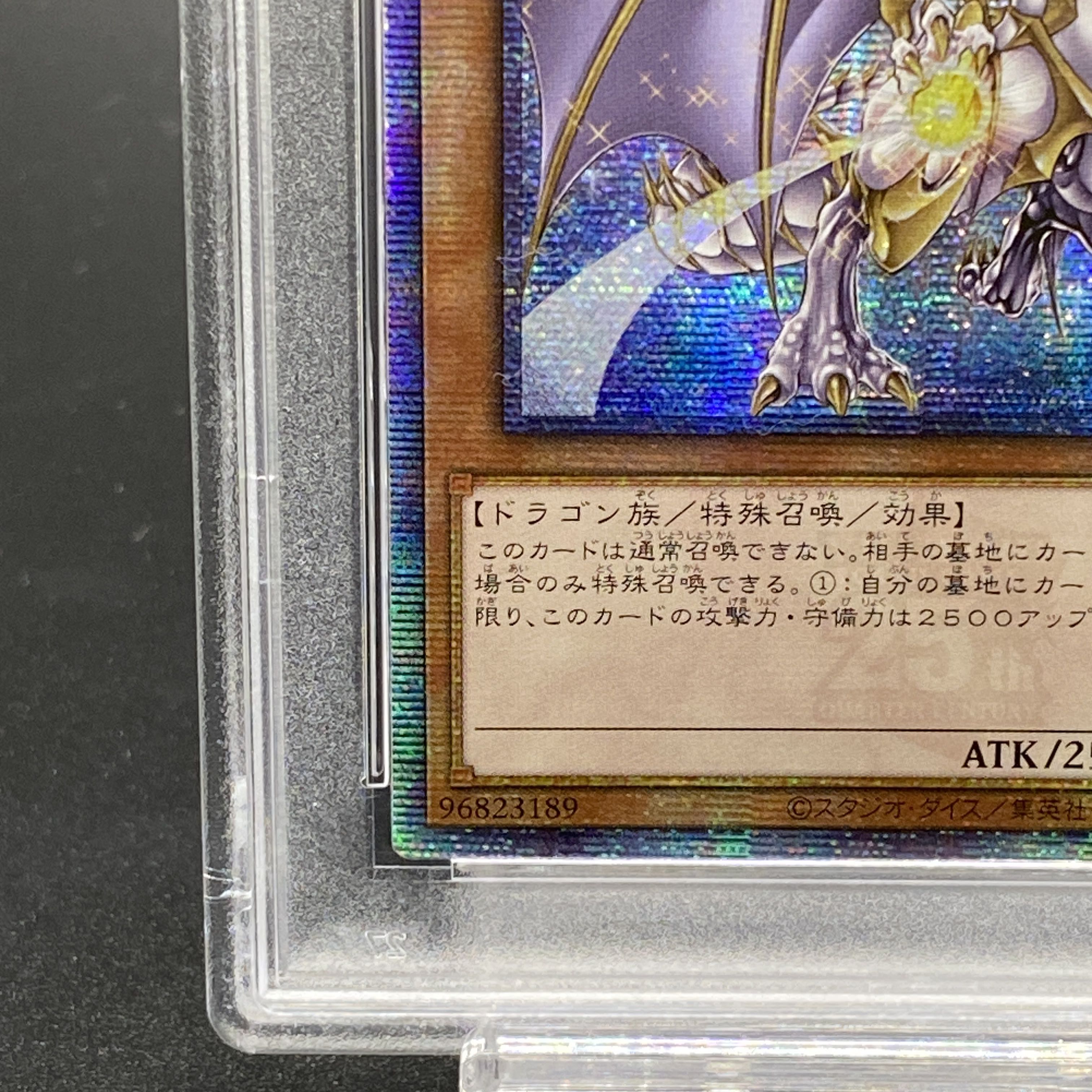 PSA10] Dragon of Pride and Soul QCSE, 25th Sikh INFO-JP000