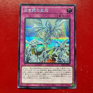 Ayj 白き龍の威光 シークレットレア SD47-JPP05 1枚