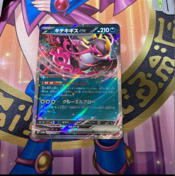 Kicchi Kigis ex RR 038/064