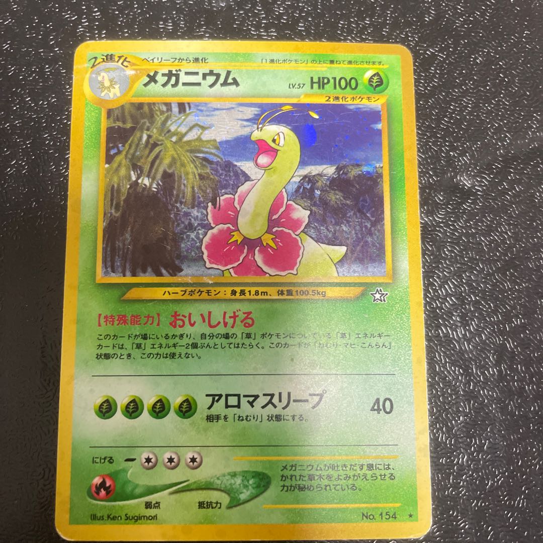 Meganium Kira Old back ★