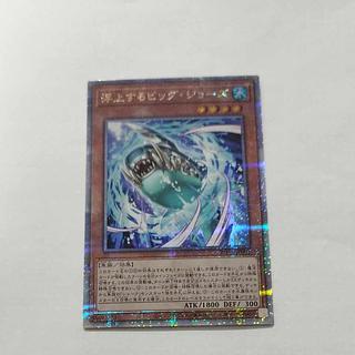 @ @ Big Jaws QCSE and 25th Sikh ROTA-JP001