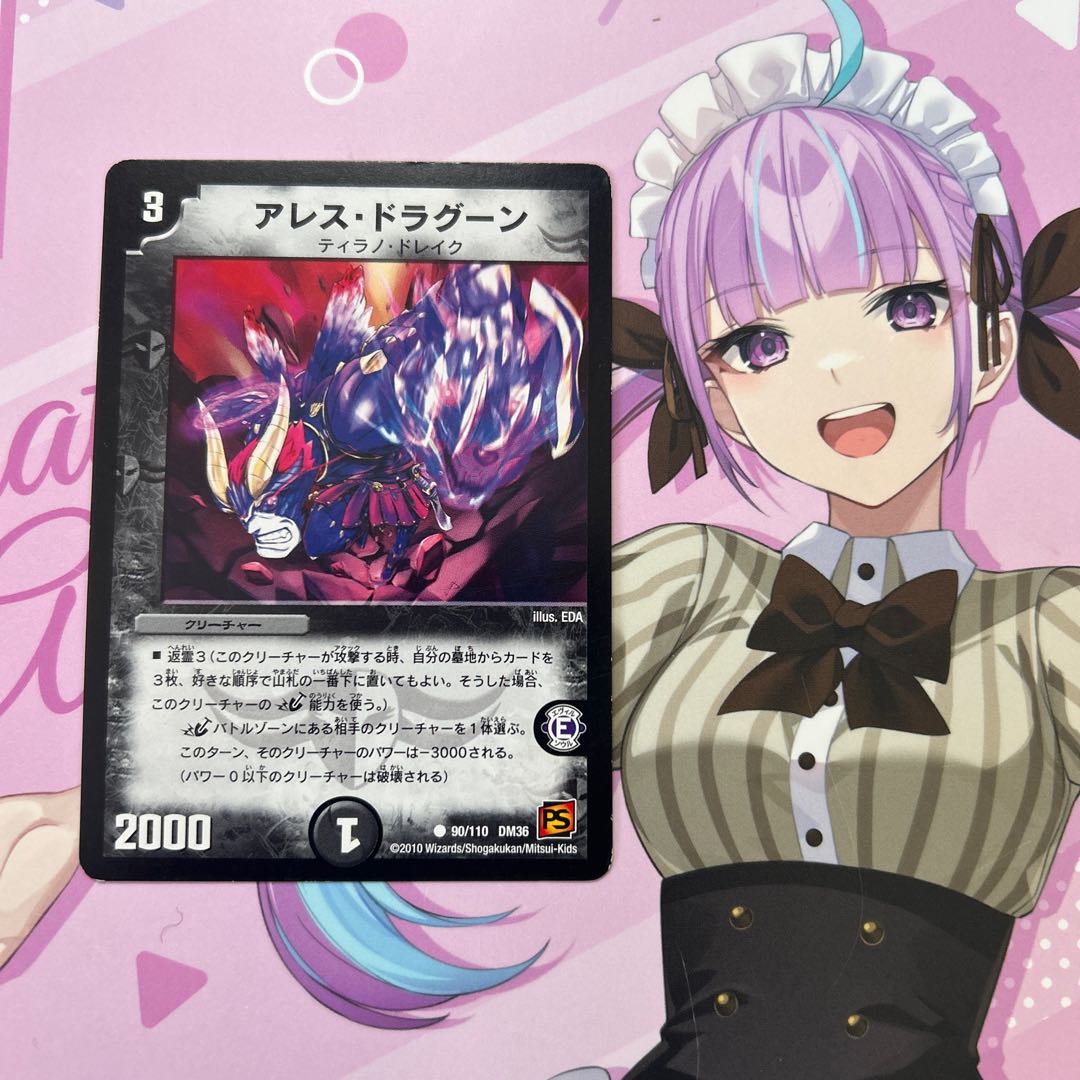 アレス・ドラグーン C 90/110 1枚