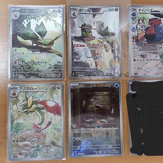 Dolphin Man AR 111/108